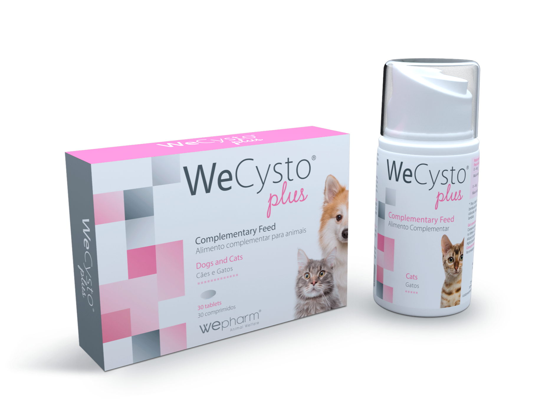 WeCysto - action globale dans les cystites félines et canines