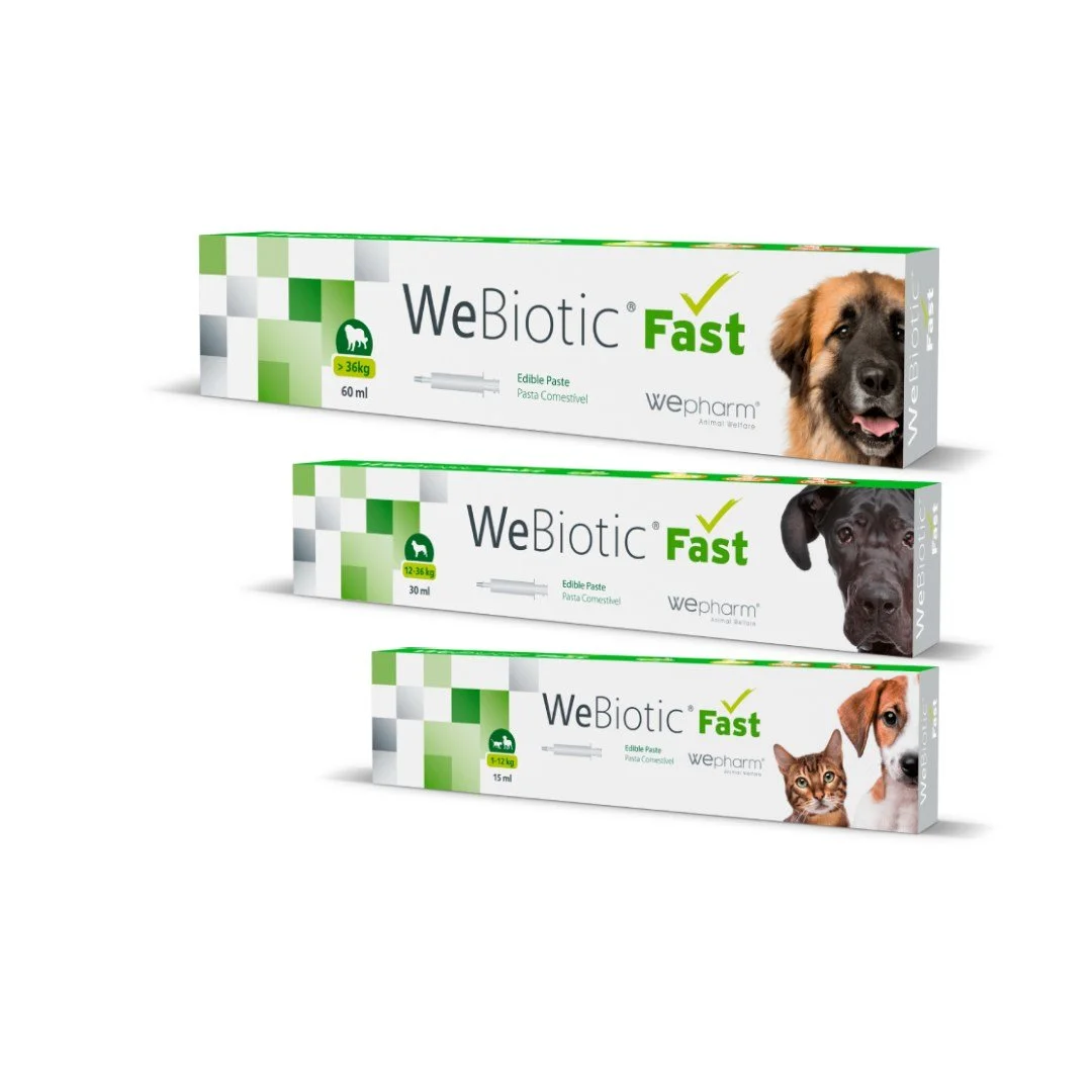 webiotic_fast_carrousel_2.jpg