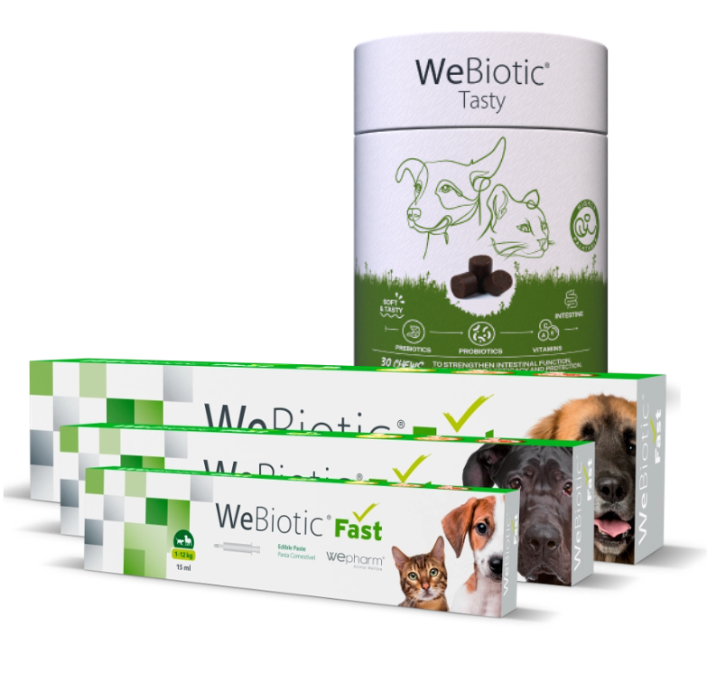Produit vétérinaire pour la fonction intestinale - Webiotic