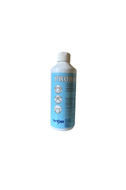 Probioderm Shampoing 500ml, à base de probiotiques, doux pour la peau, enlève les mauvaises odeurs