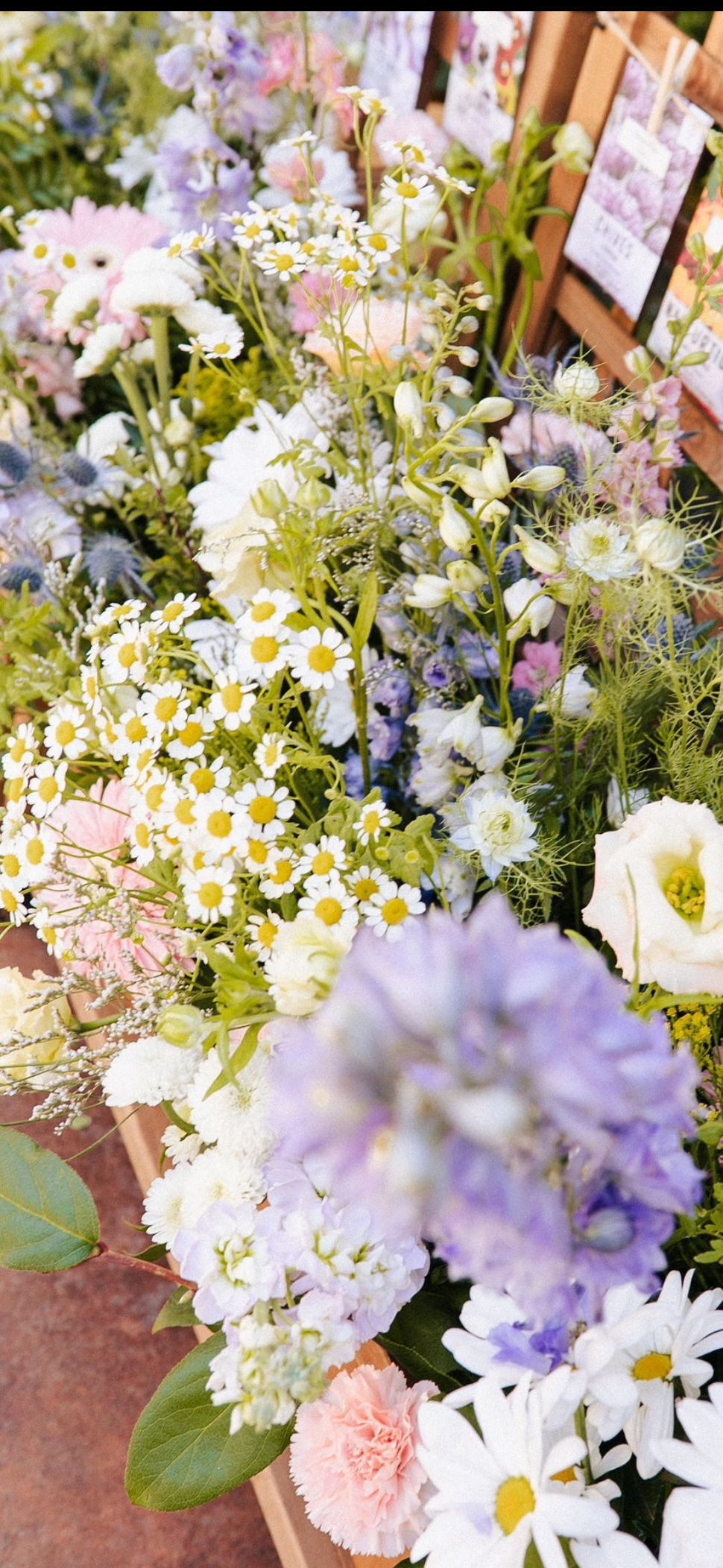 close up of the pastel wildflowers in the trellis box