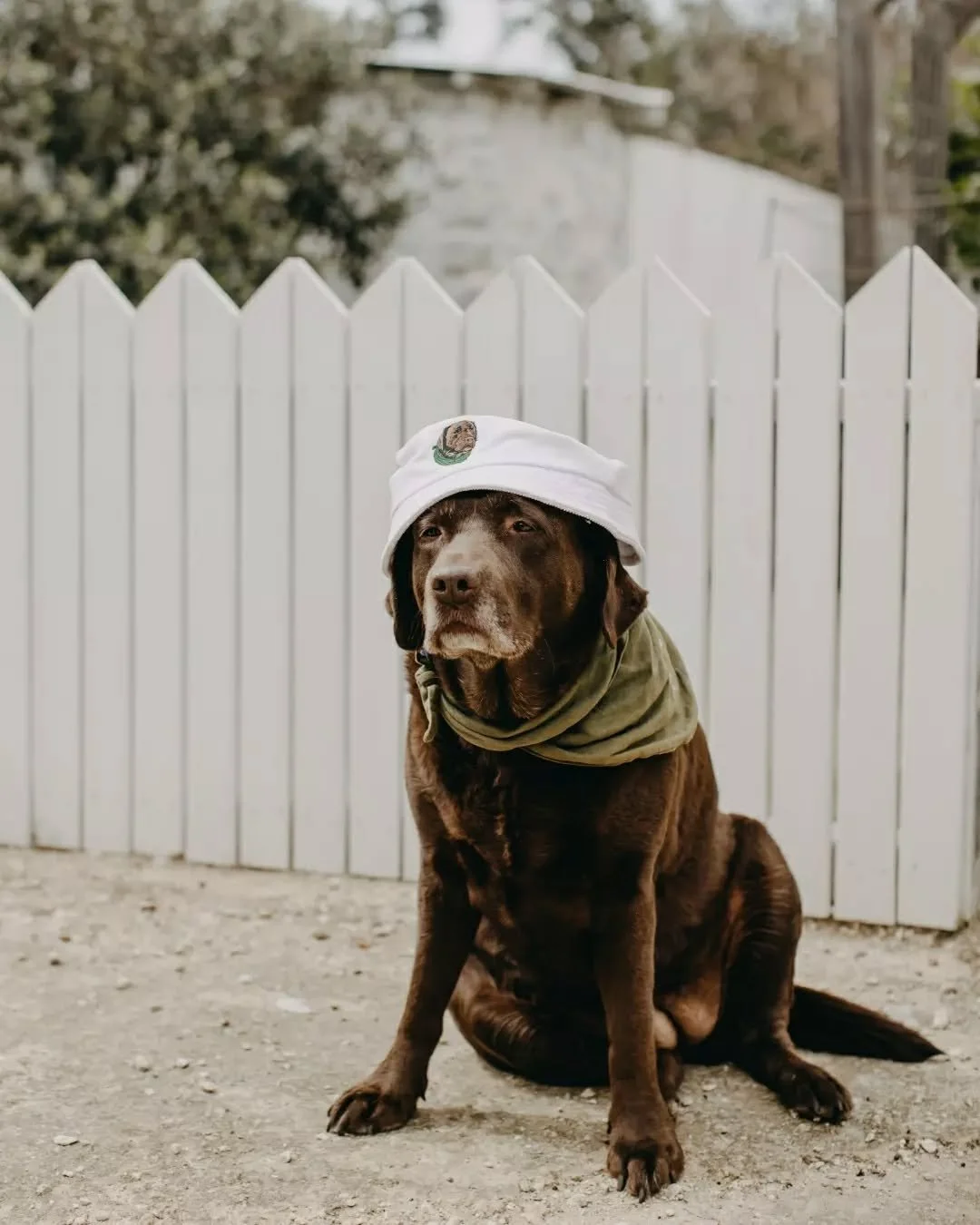 All hail the queen of Meelup Farmhouse. Take a little piece of Mila with you in the Corduroy &lsquo;Mila&rsquo; Bucket Hat, the perfect companion for sunny strolls, long lunches, and all the good vibes.

Available in-store or online, link in bio.