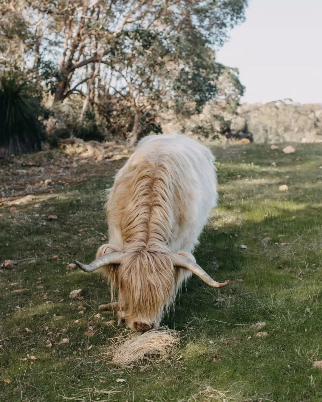 Lizzie can&rsquo;t wait to welcome you all tomorrow. Join us from 9am for brunch, lunch and all the good vibes at the Farmhouse.

Join us, link in bio.