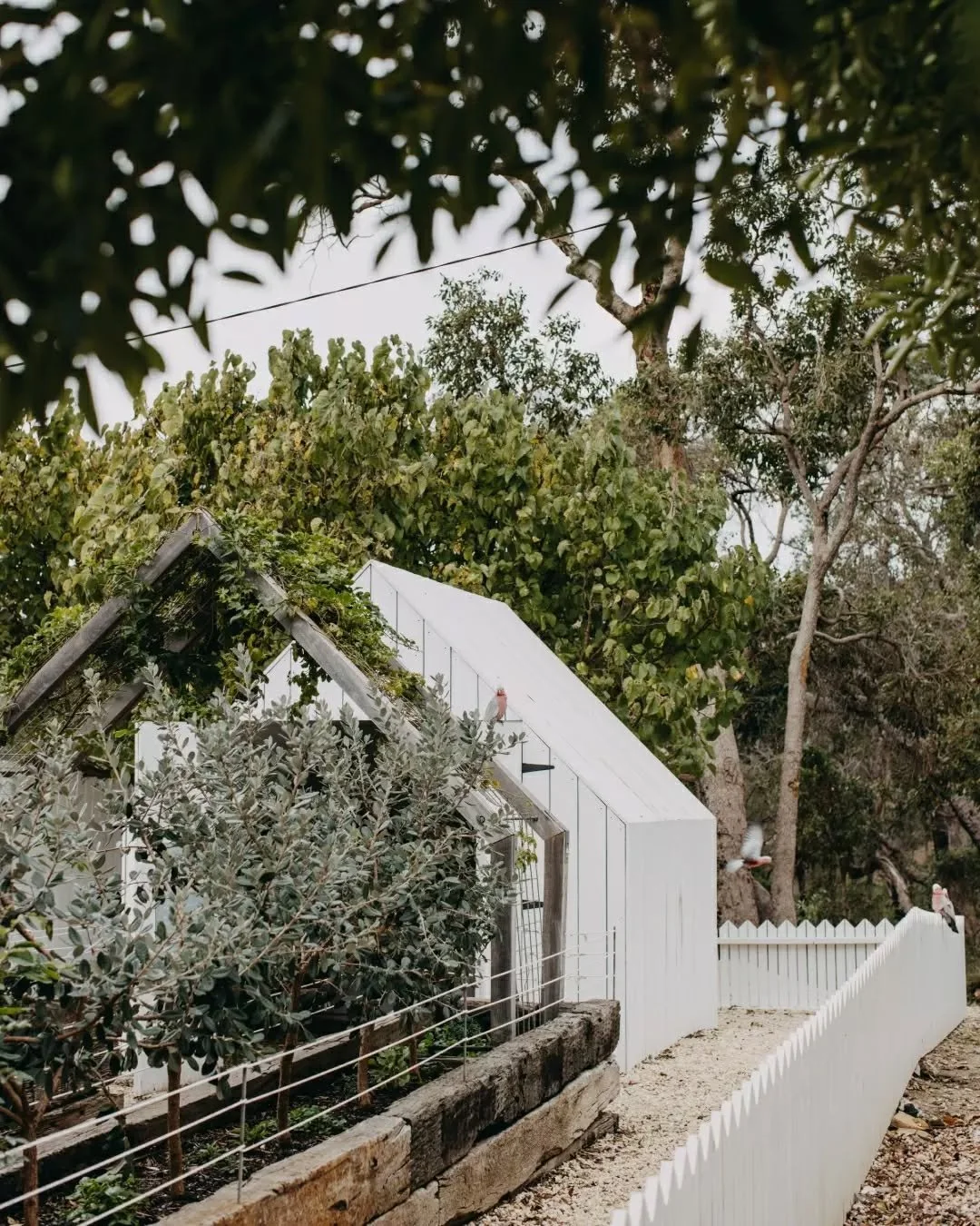 Ease into Monday at the Farmhouse. Wander the grounds, say hello to our farmyard friends, and settle in for a day well spent.

Join us, link in bio.