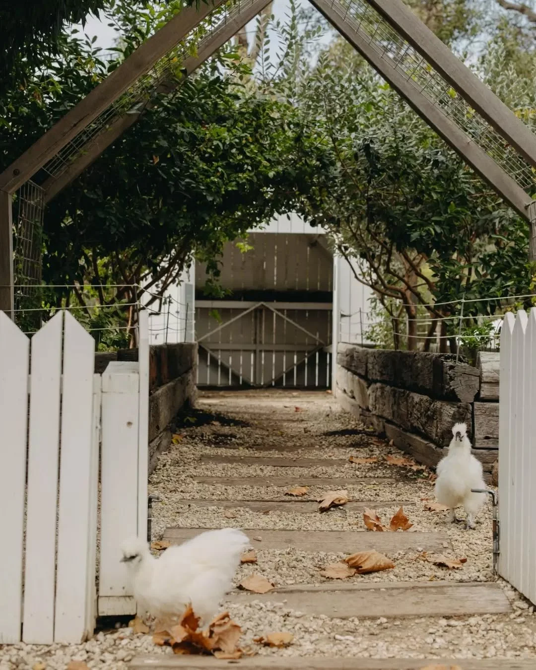 Mondays feel better at the Farmhouse with a wander around the grounds, a visit to our farmyard friends and a quiet moment in between. We can&rsquo;t wait to welcome you from 9am.🐓

Walk-ins welcome or book ahead, link in bio.