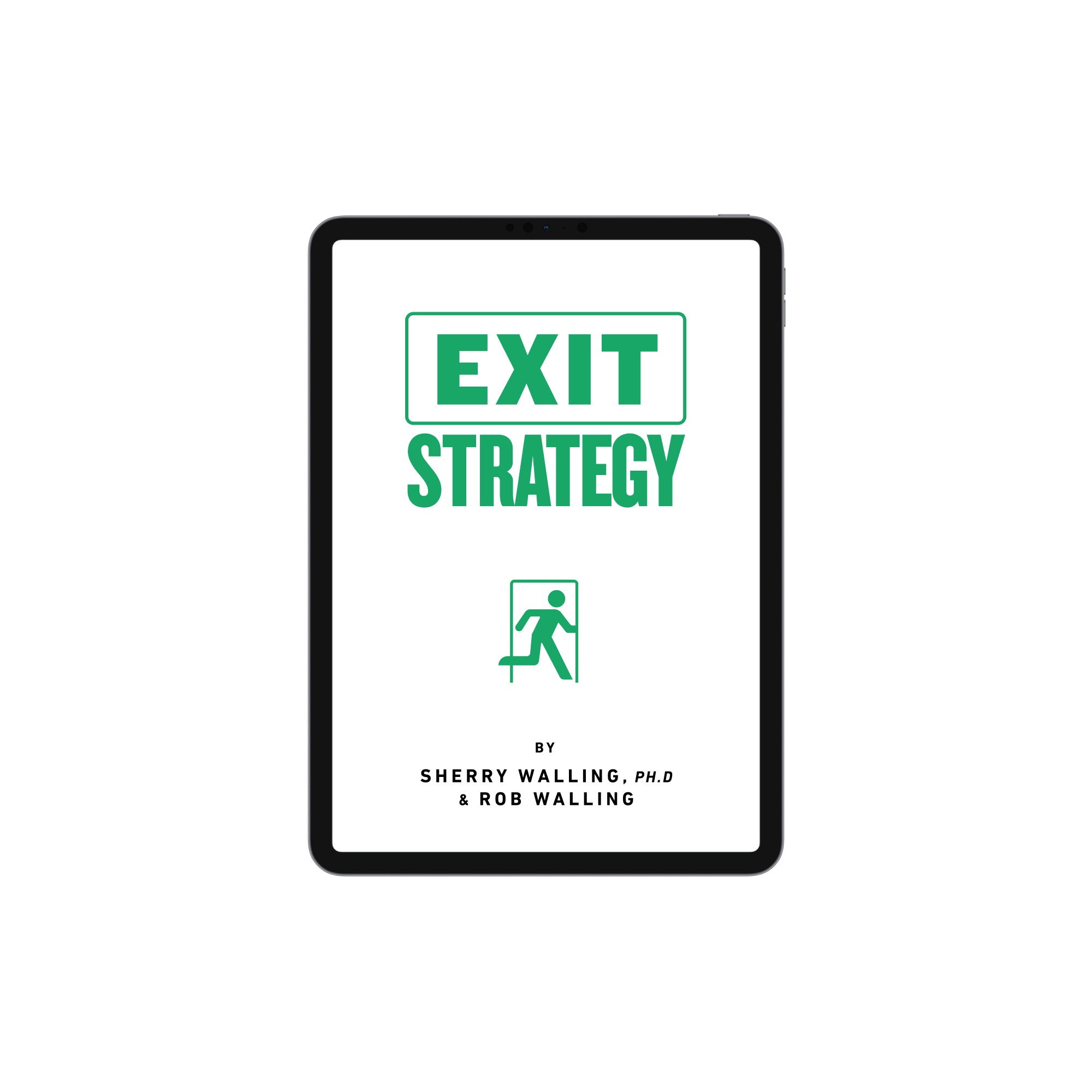 EXIT STRATEGY - EBOOK