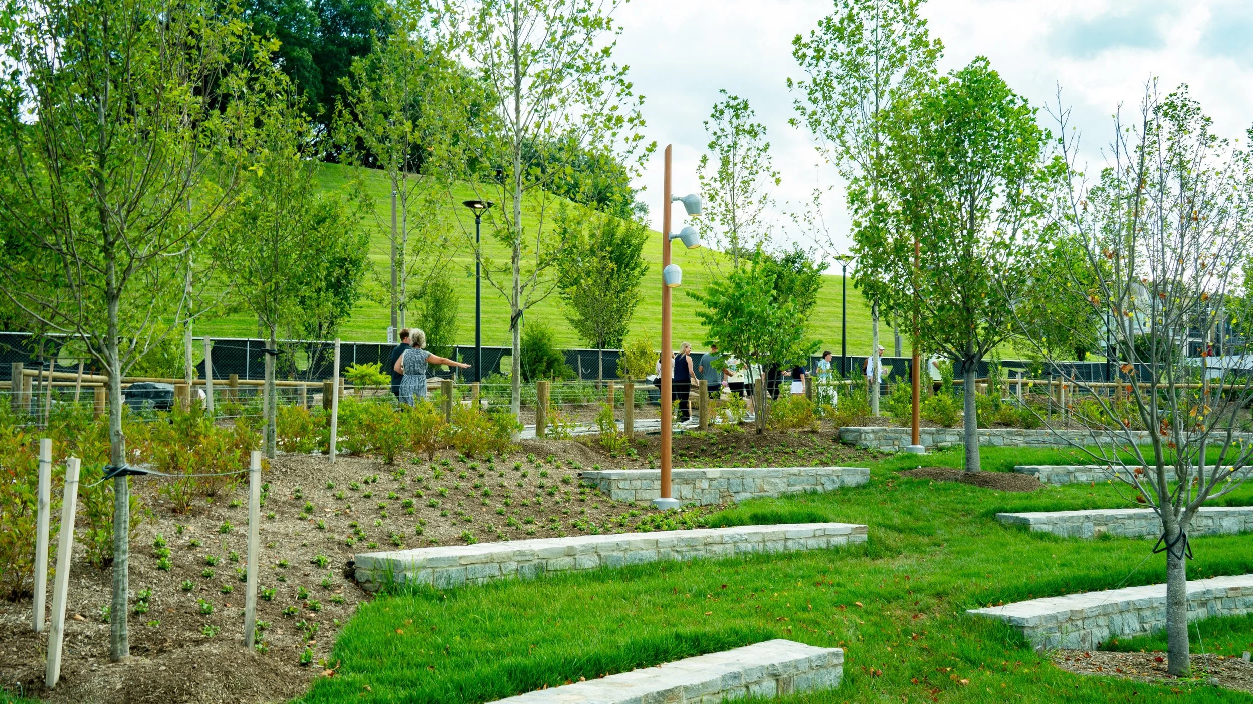 ASD02443.jpg