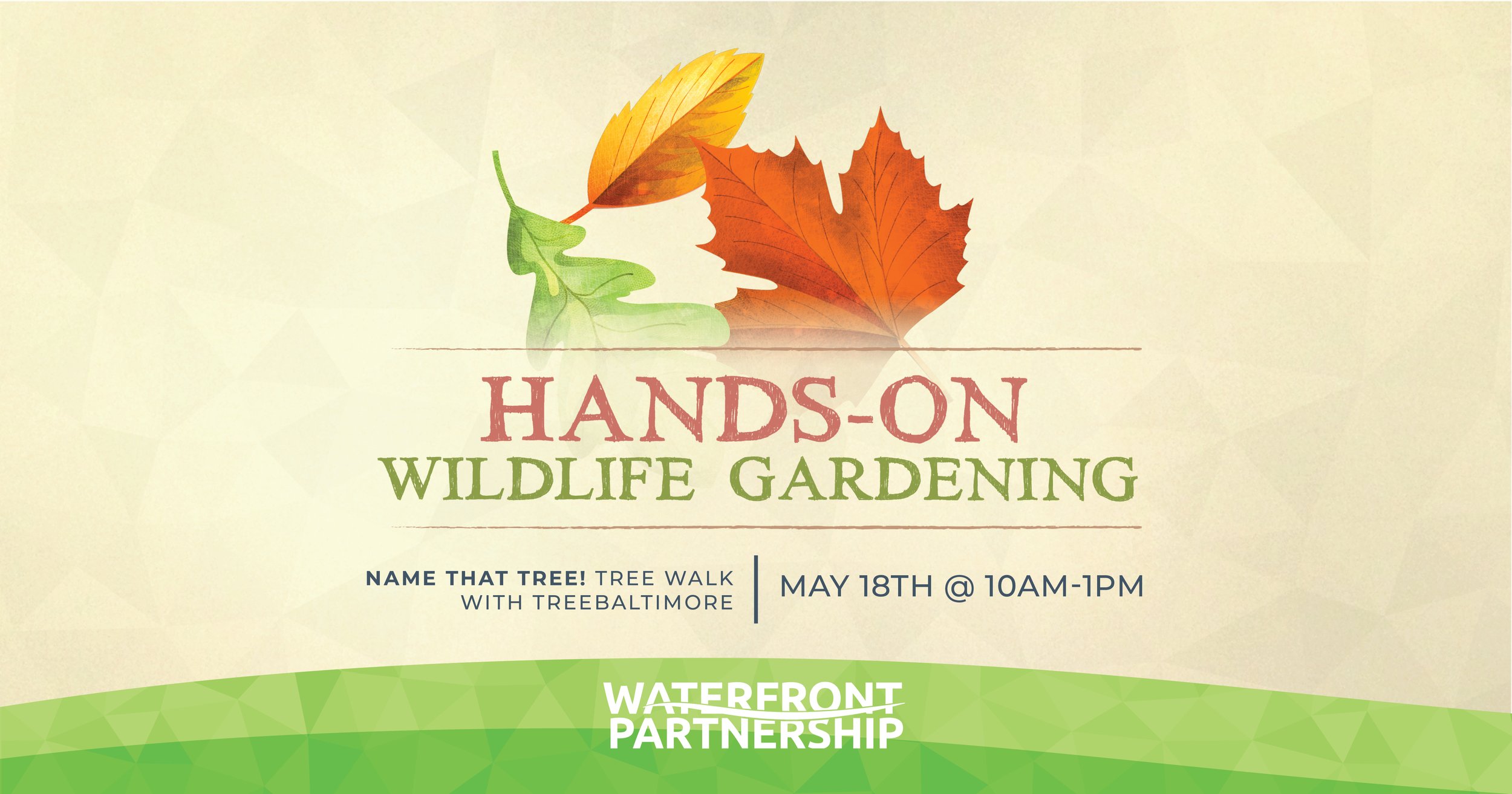 Wildlife Gardening –Name that Tree!