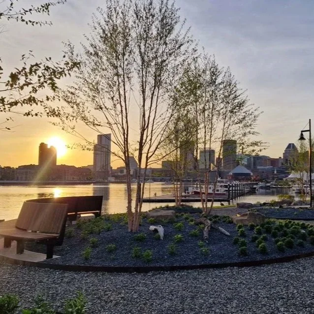 Sunset Sips at Point Park