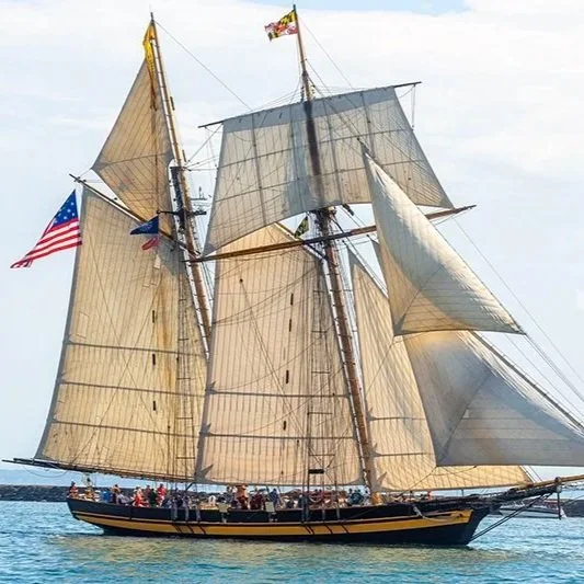 Sailabration: Sailing Traditions In Ink