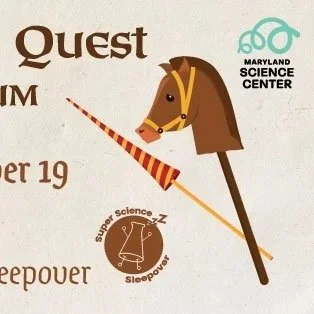 A Knight's Quest in the Museum