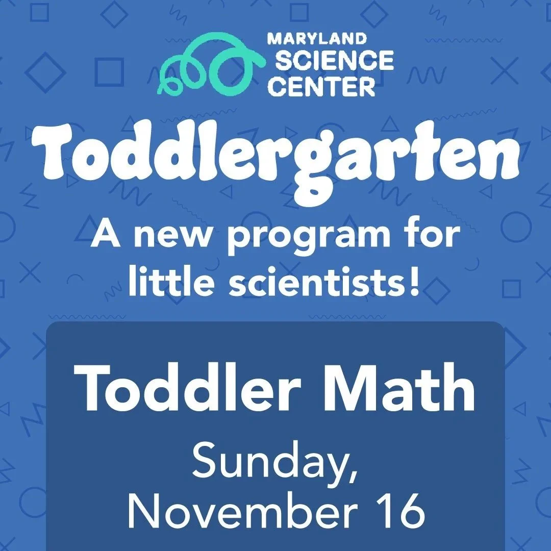 Toddlergarten: Toddler Math