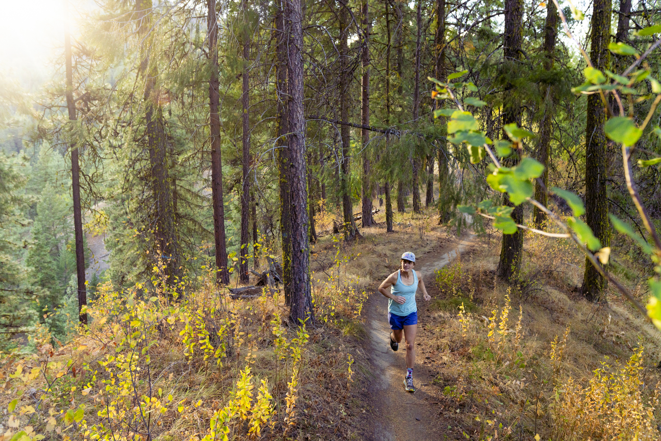 Biweekly Community Run: Trailerfarers Run / Walk