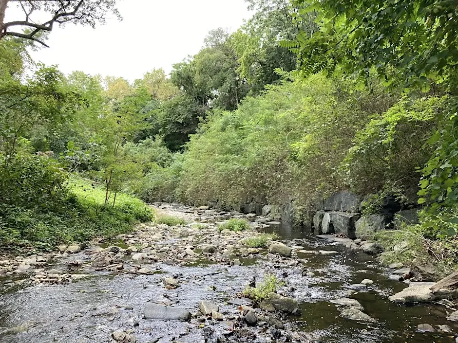 Upper Jones Falls Stakeholder Meeting
