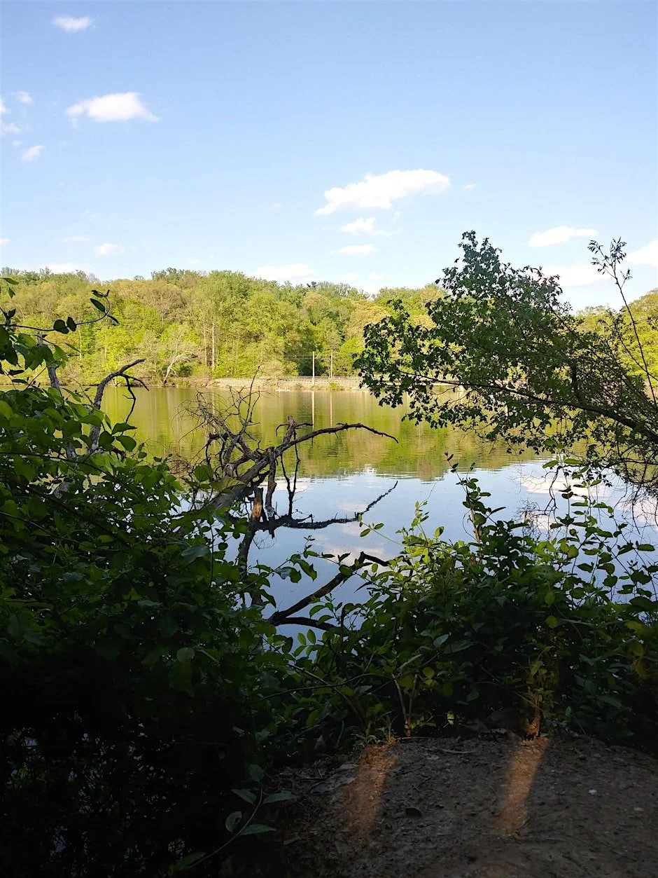 Middle Jones Falls Stakeholder Meeting