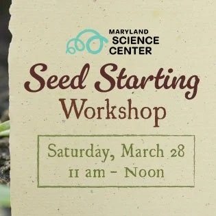Seed Starting Workshop