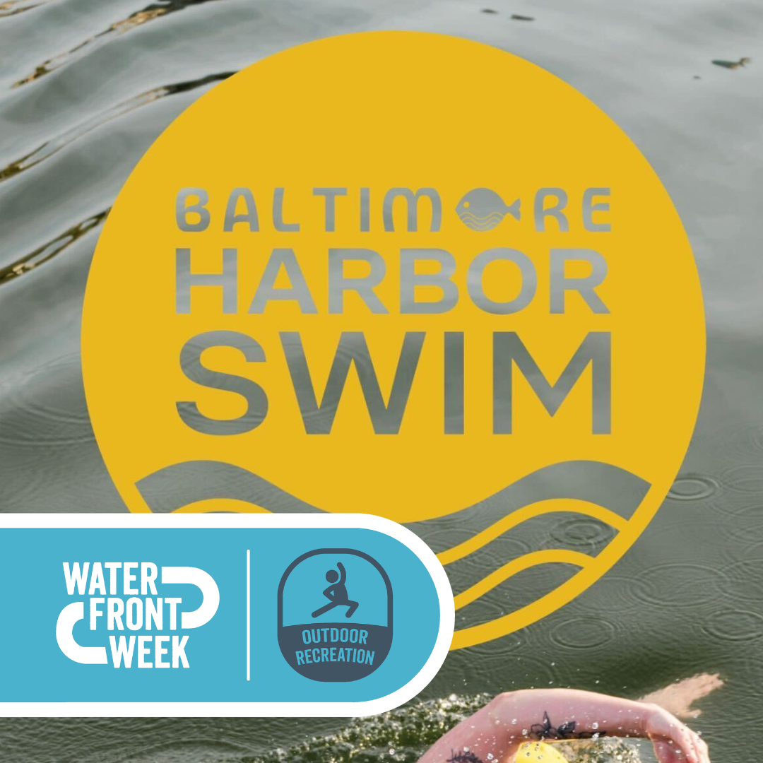 Baltimore Harbor Swim 