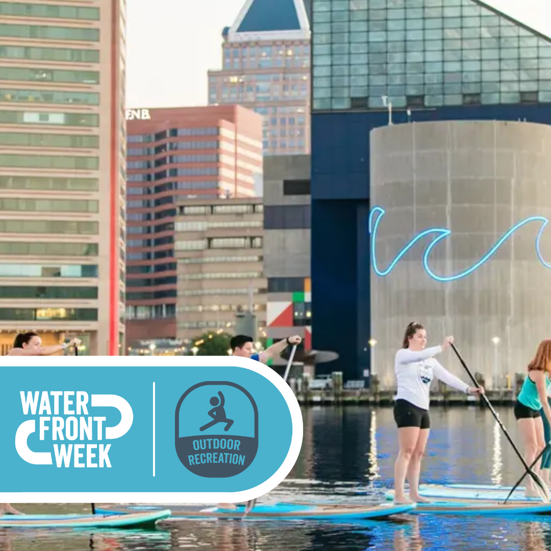 Beach Boys Concert Paddle With Bmore SUP