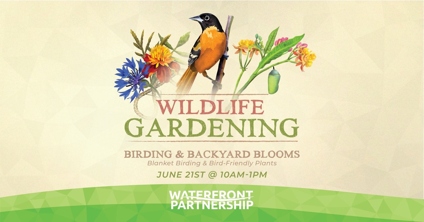 Wildlife Gardening: Birding & Backyard Blooms