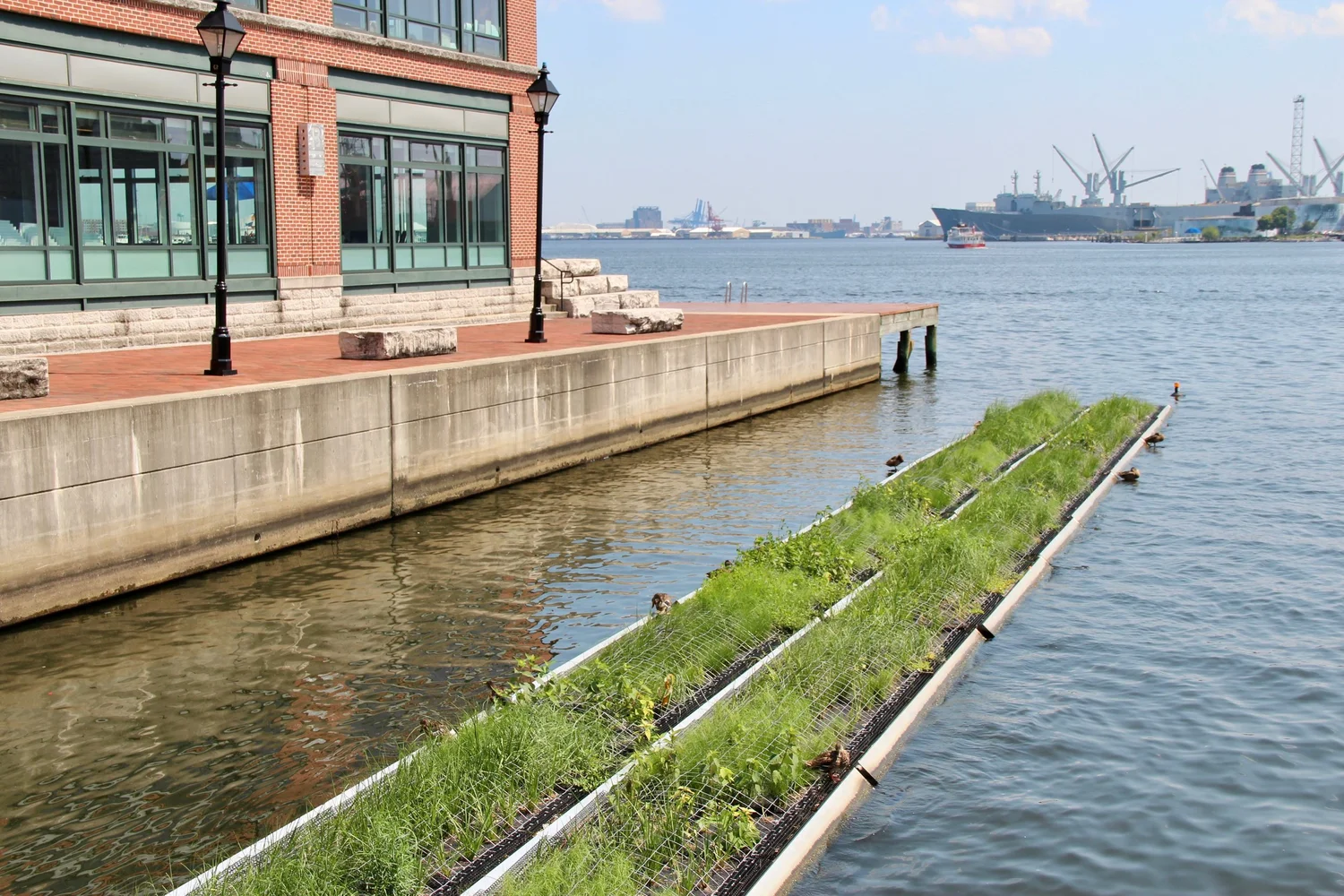 Harbor Habitats — Waterfront Partnership of Baltimore