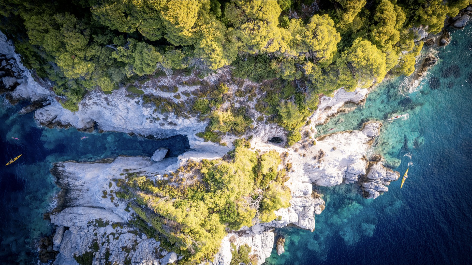 Let’s Celebrate Earth Day and Keep Protecting Our Waters