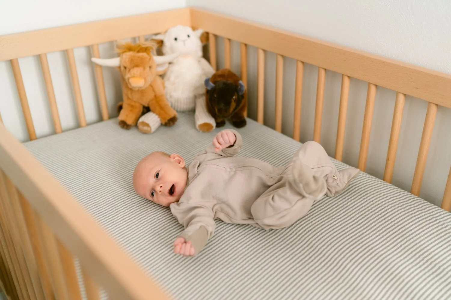 Lifestyle Denver Newborn Photographer -1.jpg