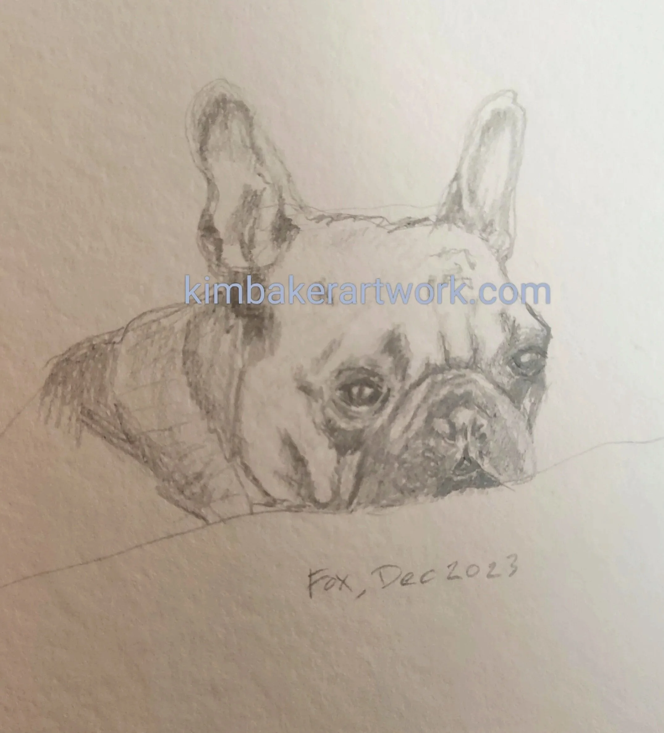 "Fox Mulder." Quick sketch of my dog. Not for sale.