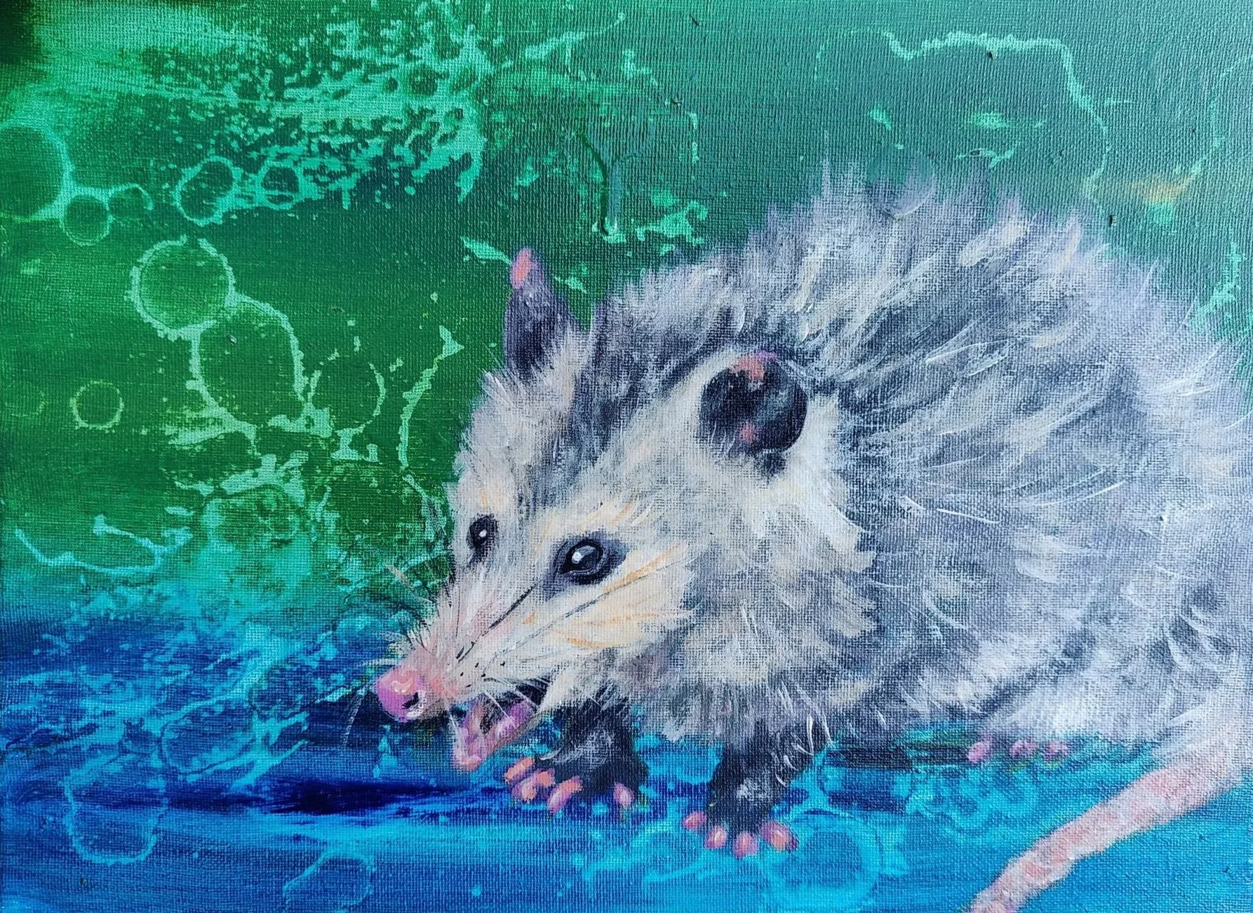 "Hissy Fit." Portrait of an opossum. Acrylic on canvas. 24" x 16". Available for purchase. $300. Contact for details. 