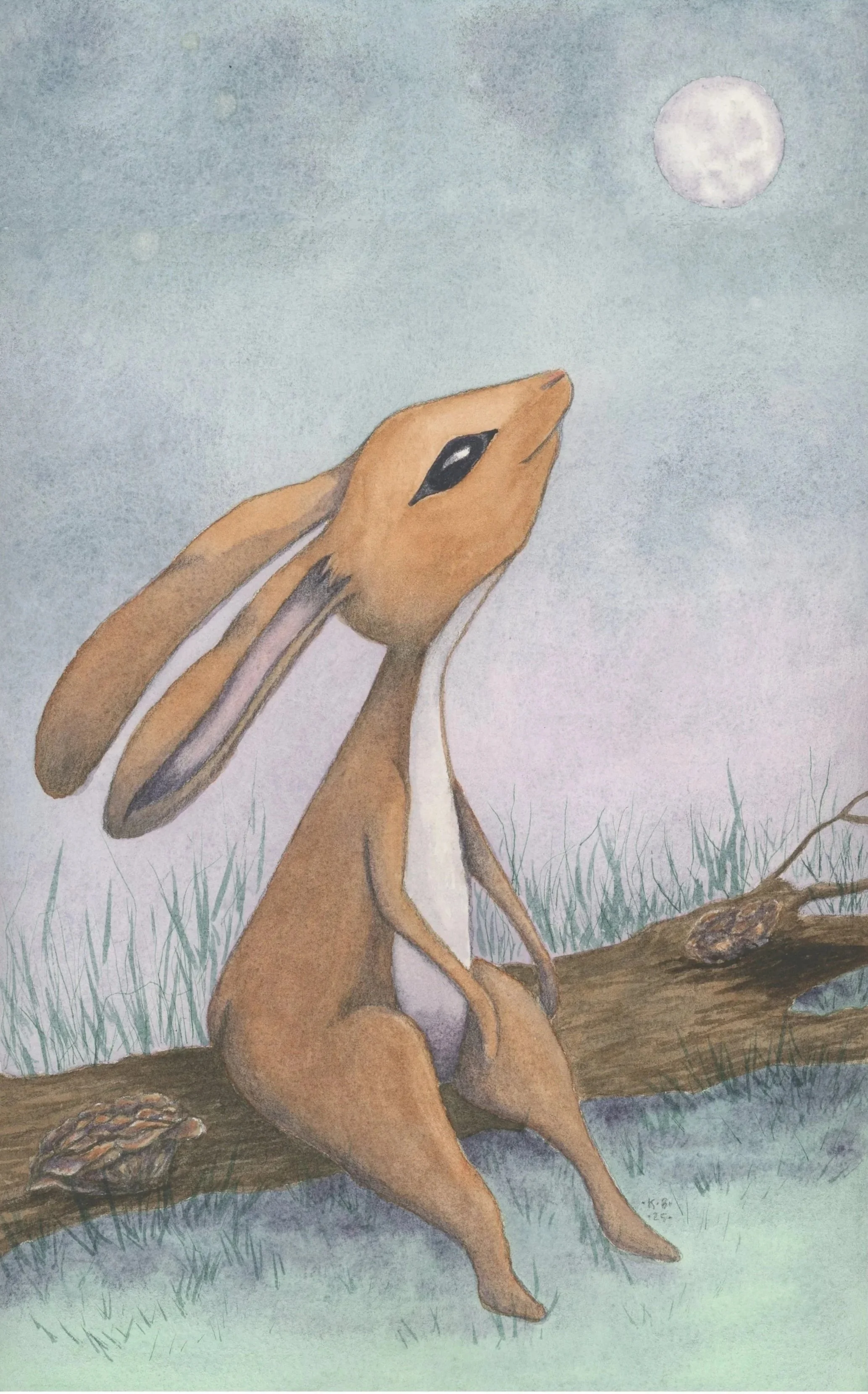 "Moon Gazer". Watercolor on paper. Look for it on display at the 55th Annual Trail of Tears Art Show, April 11 thru May 16, 2026.