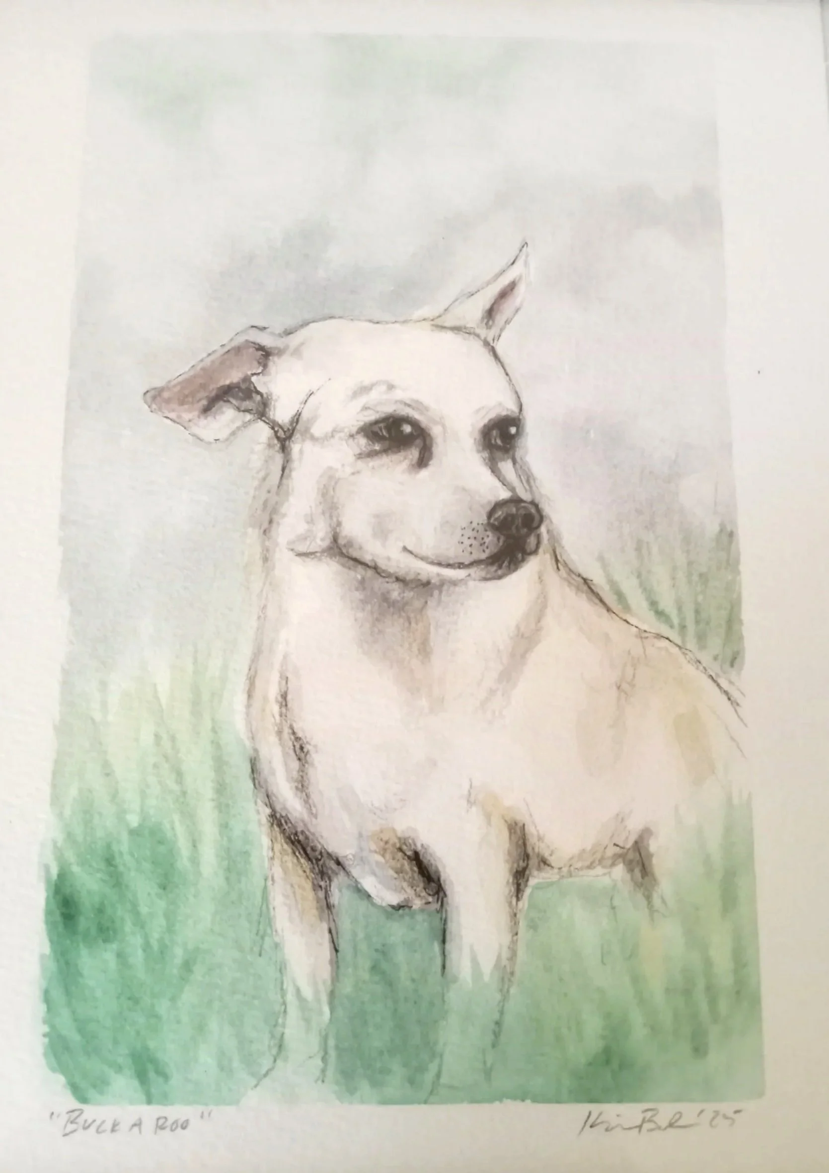 "Buckaroo". Pet portrait. Watercolor on paper. Private collection.