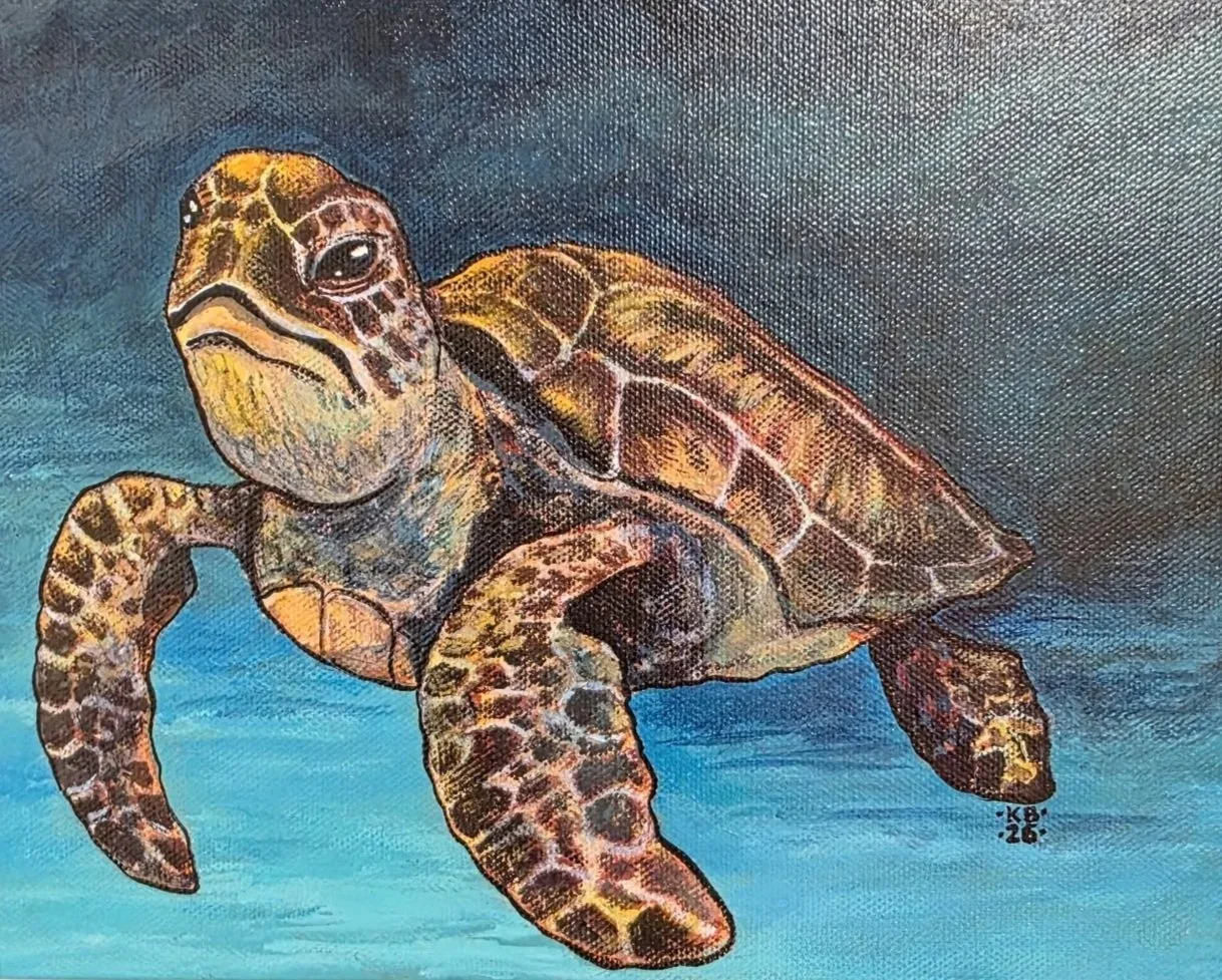 "Sea Turtle." Acrylic on canvas board. Private collection.