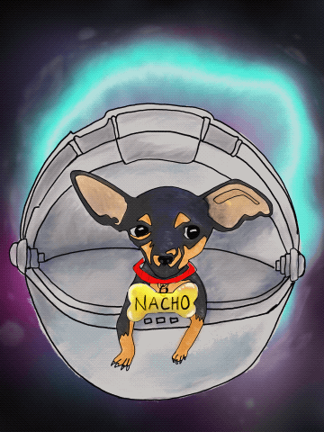 "Nacho in Grogu's hovering pod." Pet portrait gif. Not for sale.