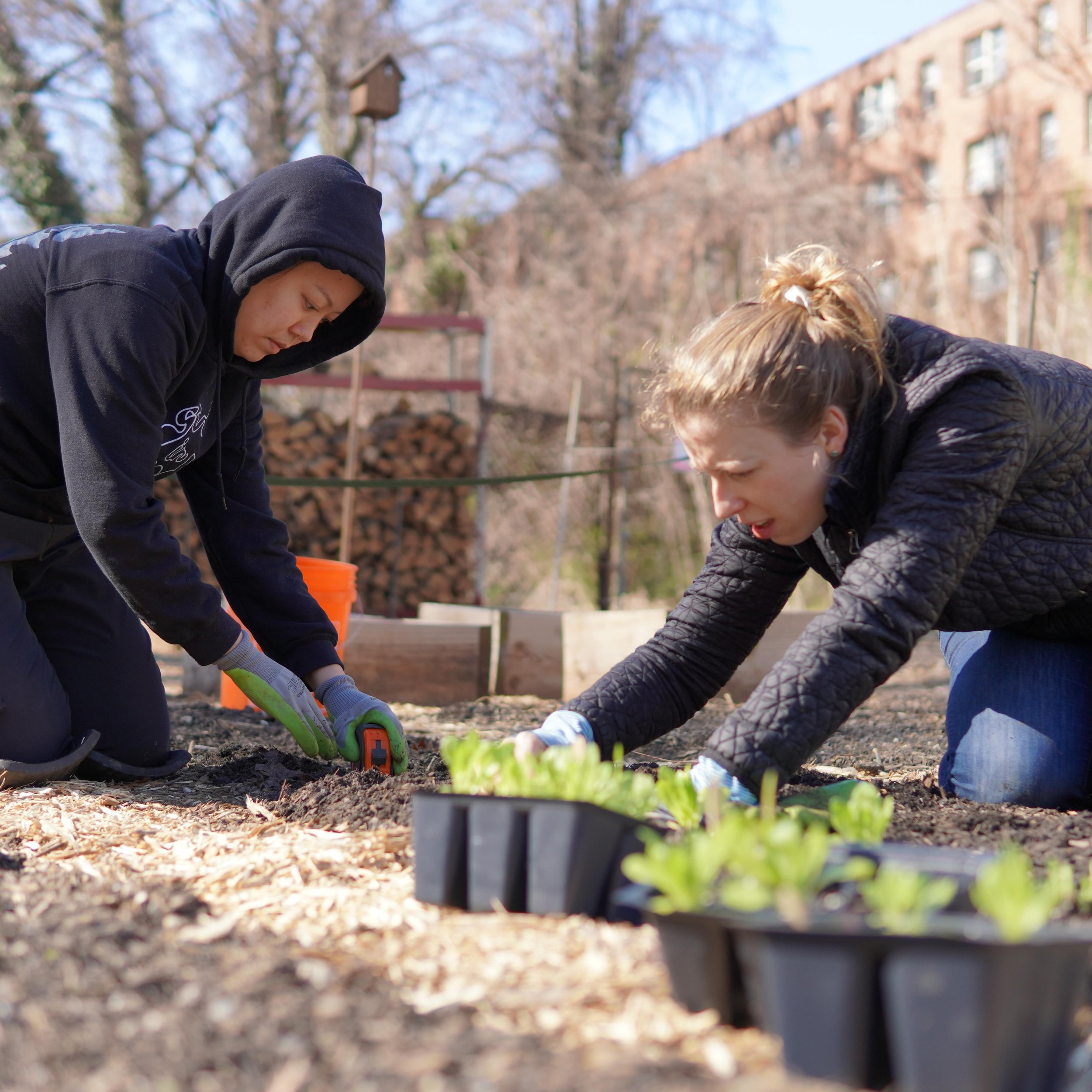 🌱🪴🧑&zwj;🌾 It&rsquo;s time to plant! Tomorrow we&rsquo;re getting the first batch of our spring crops in the ground, including tomatoes, peppers, eggplants and herbs. The weather&rsquo;s looking glorious, so hope to see you Sunday, April 14 from 1