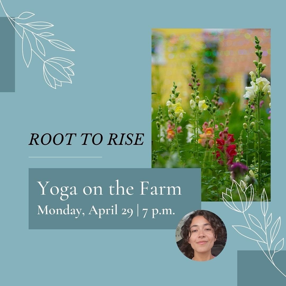 🧘🌱 Find your balance, focus on your breath, and bloom at our first evening yoga session at Edgewood Community Farm. Our hour-long vinyasa class in this beautiful, tranquil space will be led by @adacruzt, a certified yoga teacher who has been practi