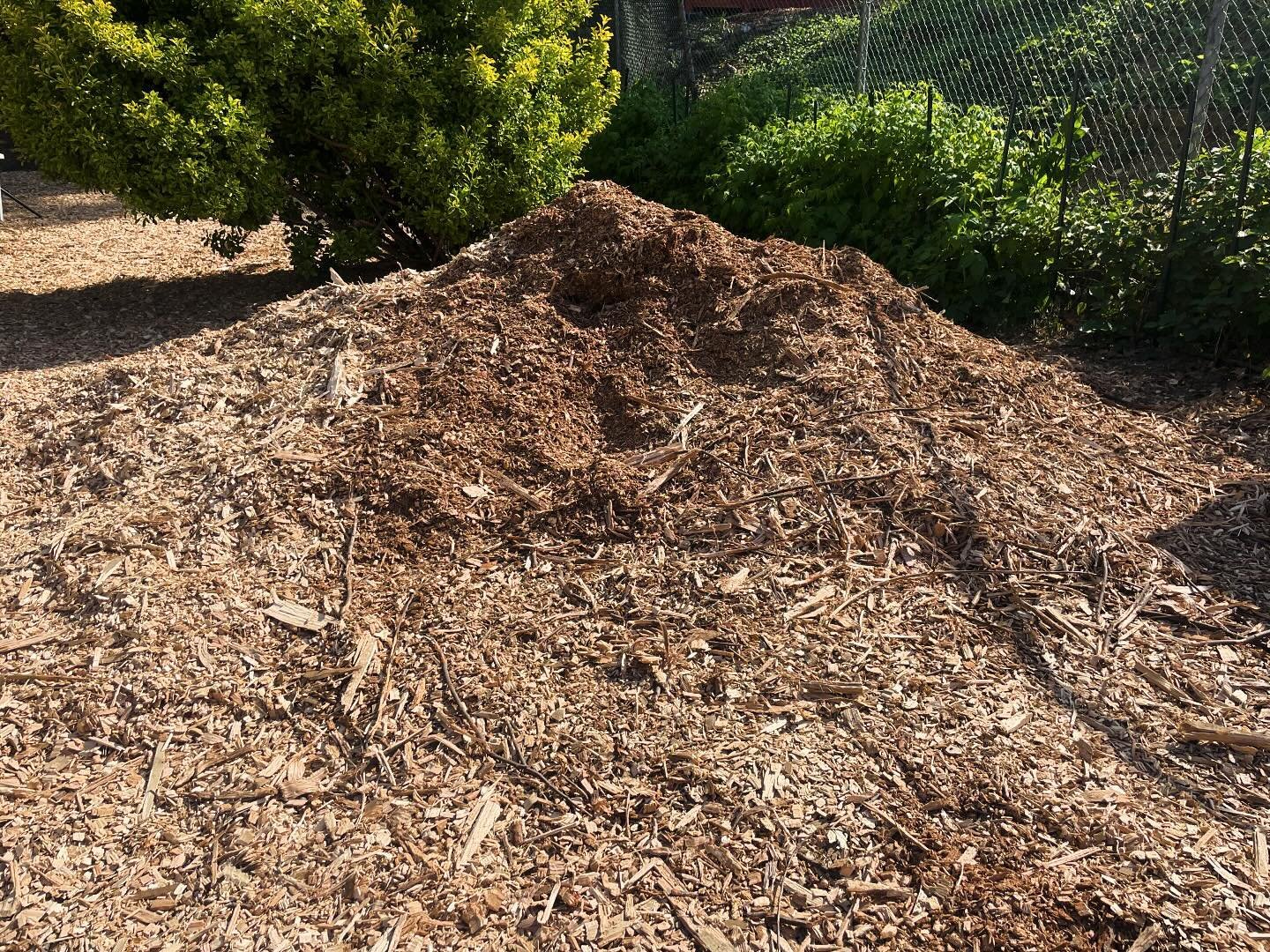 🌳 Free Mulch for Your Garden. As part of our wood reclamation efforts, we got a giant wood chip delivery from landscapers who removed trees in the area, which we use for mulch on the farm paths. Benefits of mulching include retaining water to help e