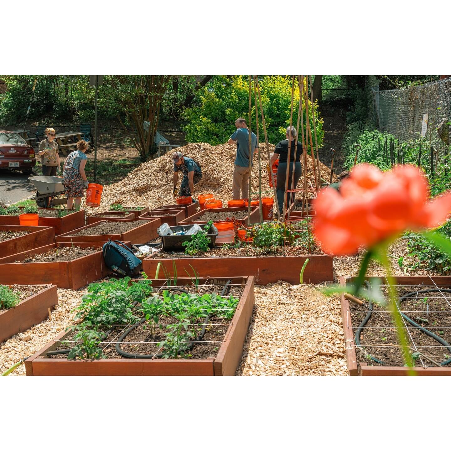 🧑&zwj;🌾 It&rsquo;s prime time for planting! We&rsquo;ve expanded our availability of automatically irrigated raised garden beds for rent this season and invite you to grow with us on your own plot. Aside from our state-of-the-art watering system, w