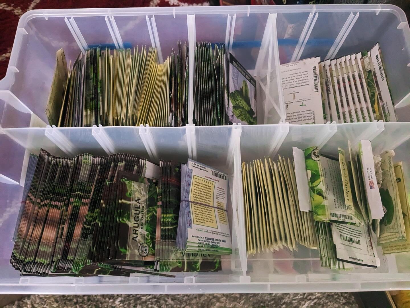 🌱 Have a Need for Seeds? We have a ton of free seeds we got last year and can&rsquo;t use them all any time soon. If you or an organization you know of could use free vegetable seeds, please email nora@ecfarm.org to coordinate pickup.