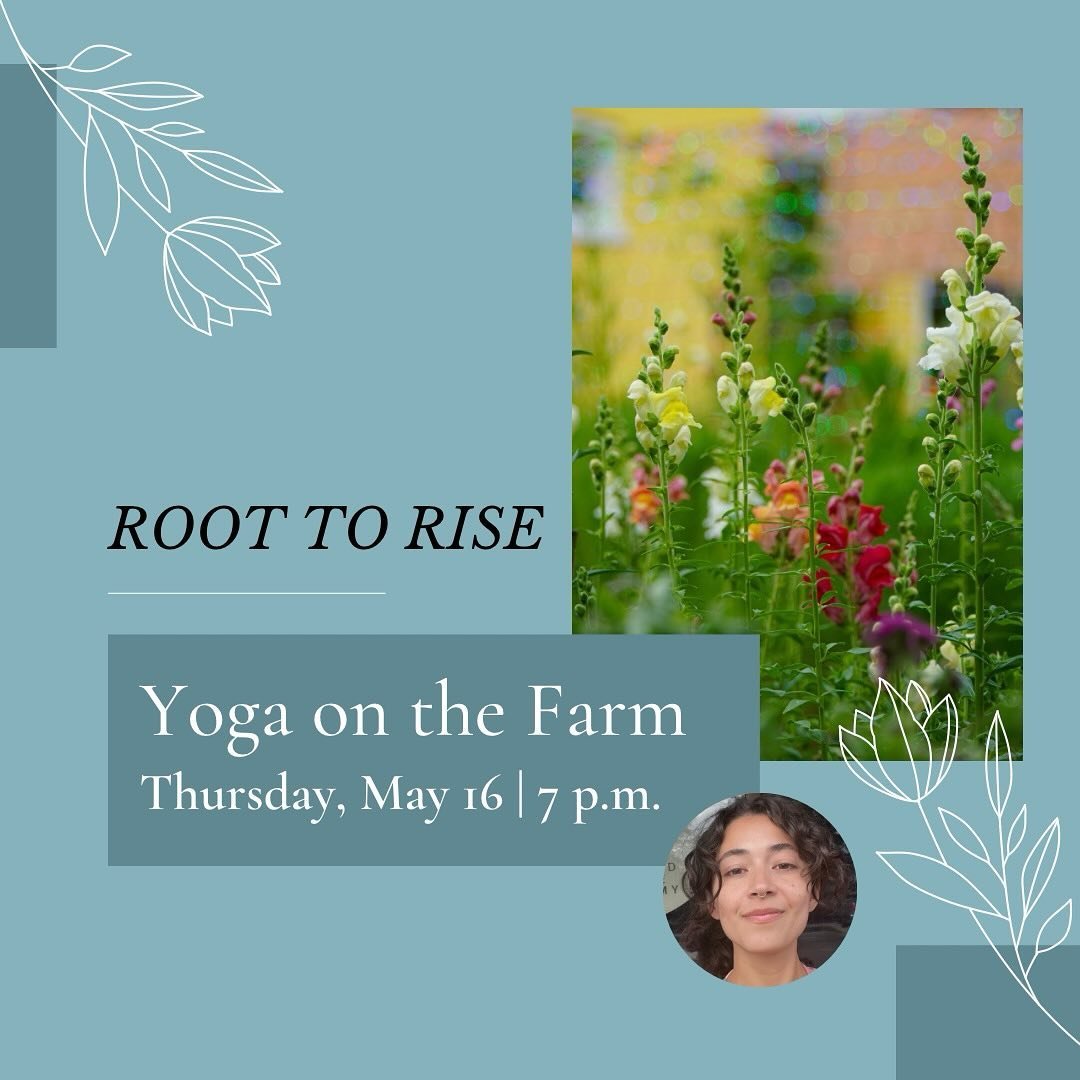 🧘Yoga returns this month! Hope you&rsquo;ll join us Thursday, May 16 at 7 p.m. Find your balance, focus on your breath, and bloom at this evening yoga session at Edgewood Community Farm. Our hour-long vinyasa class in this beautiful, tranquil space 
