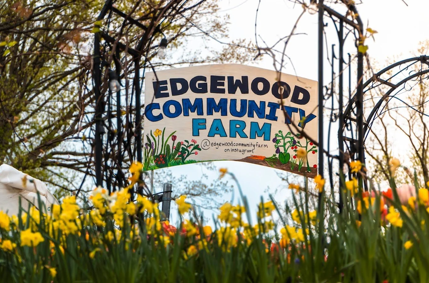 edgewood-community-farm