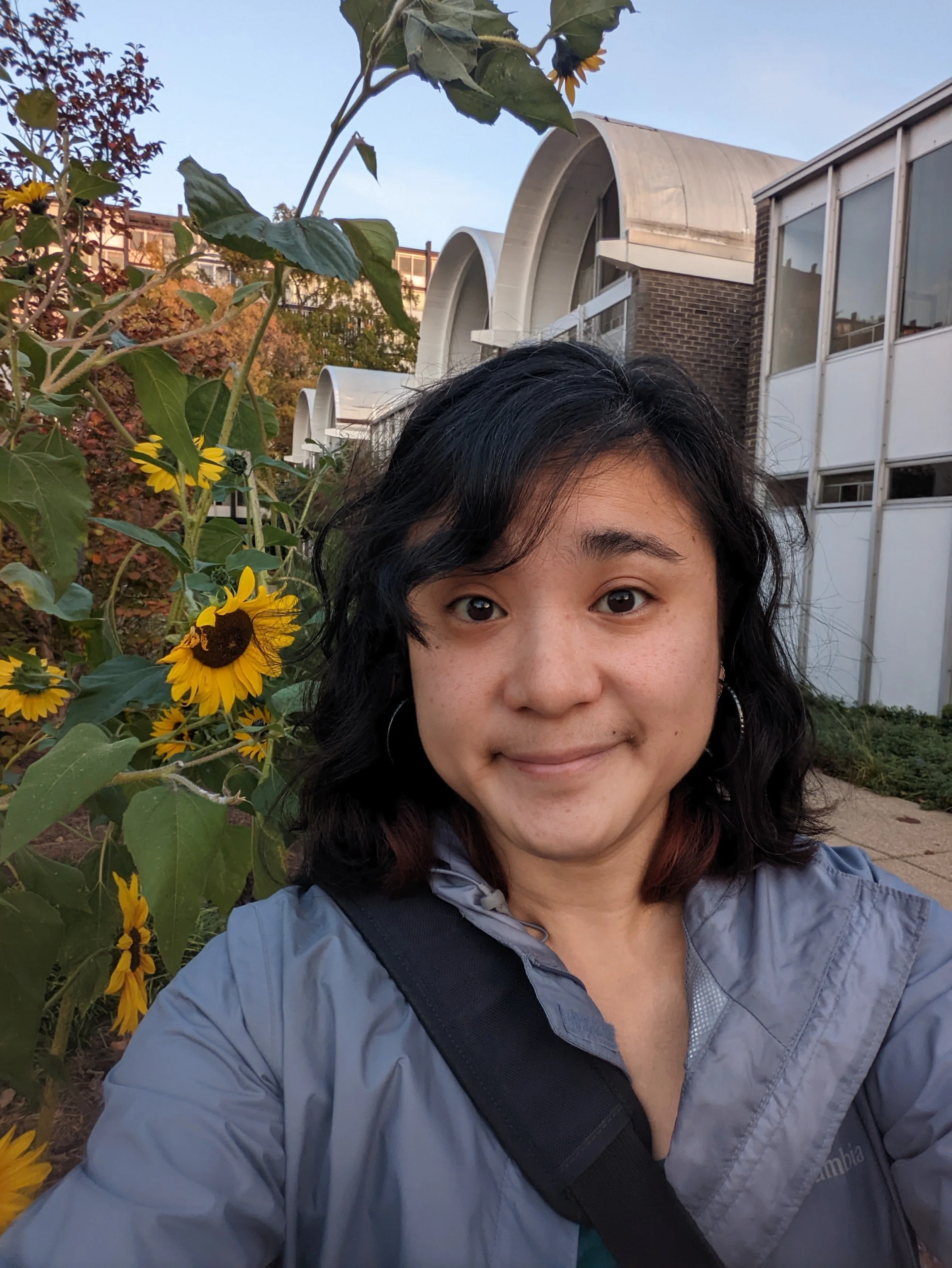 Diana Liao Webmaster