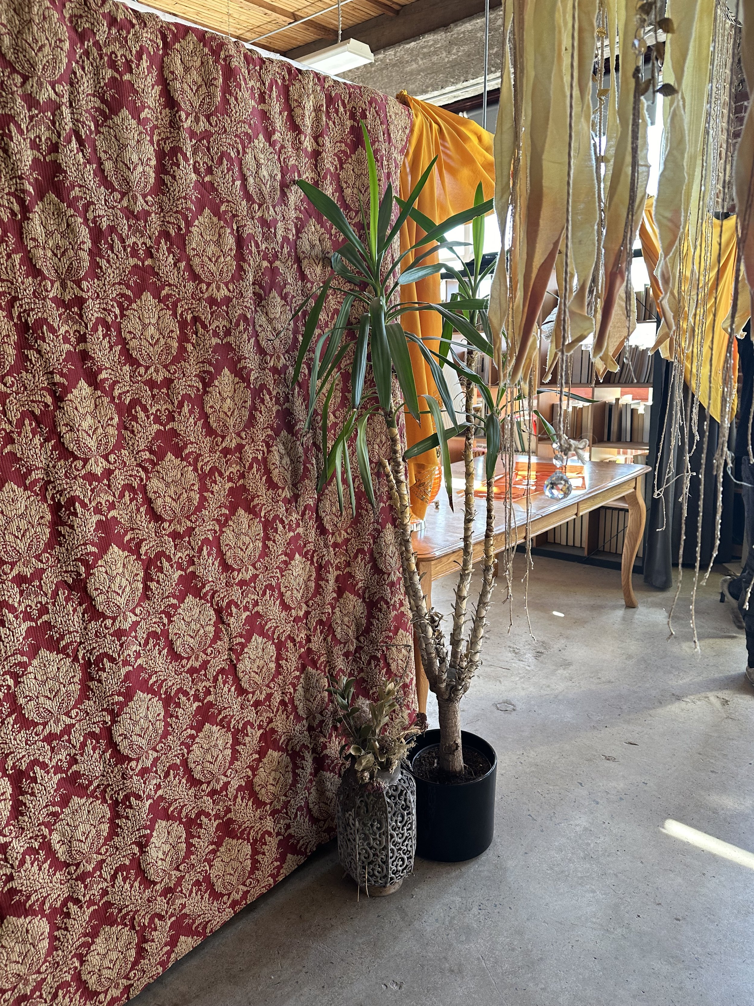 IMG_6839.jpeg
