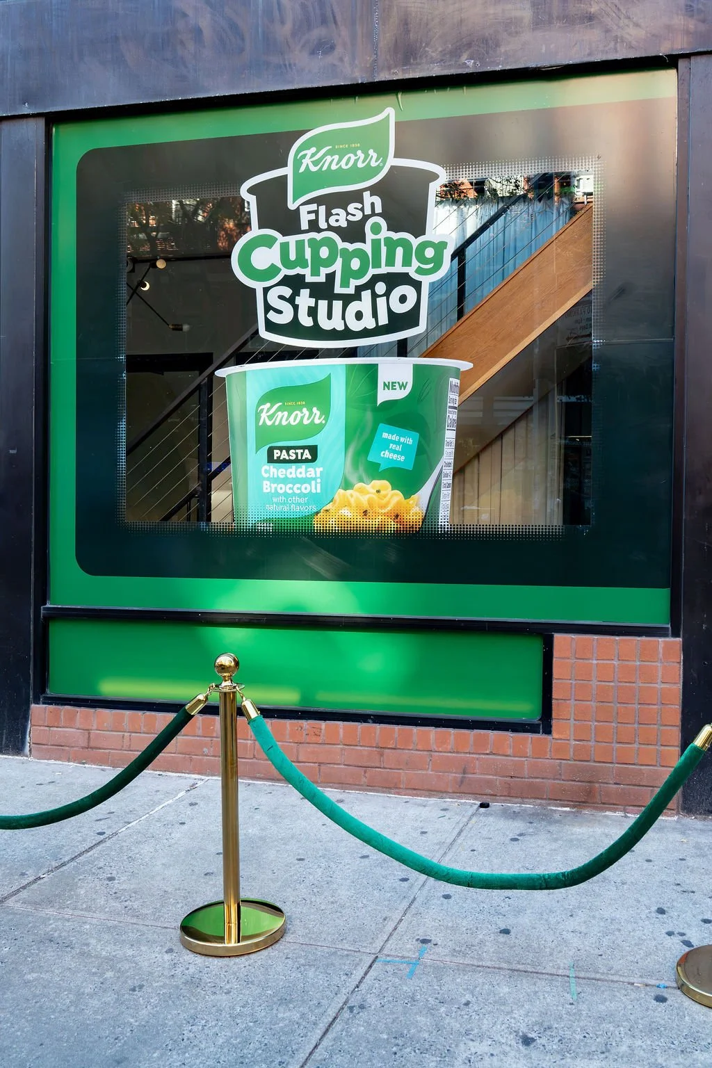 KnorrCups,AllieHayley-EricVitalePhotography-6.jpeg