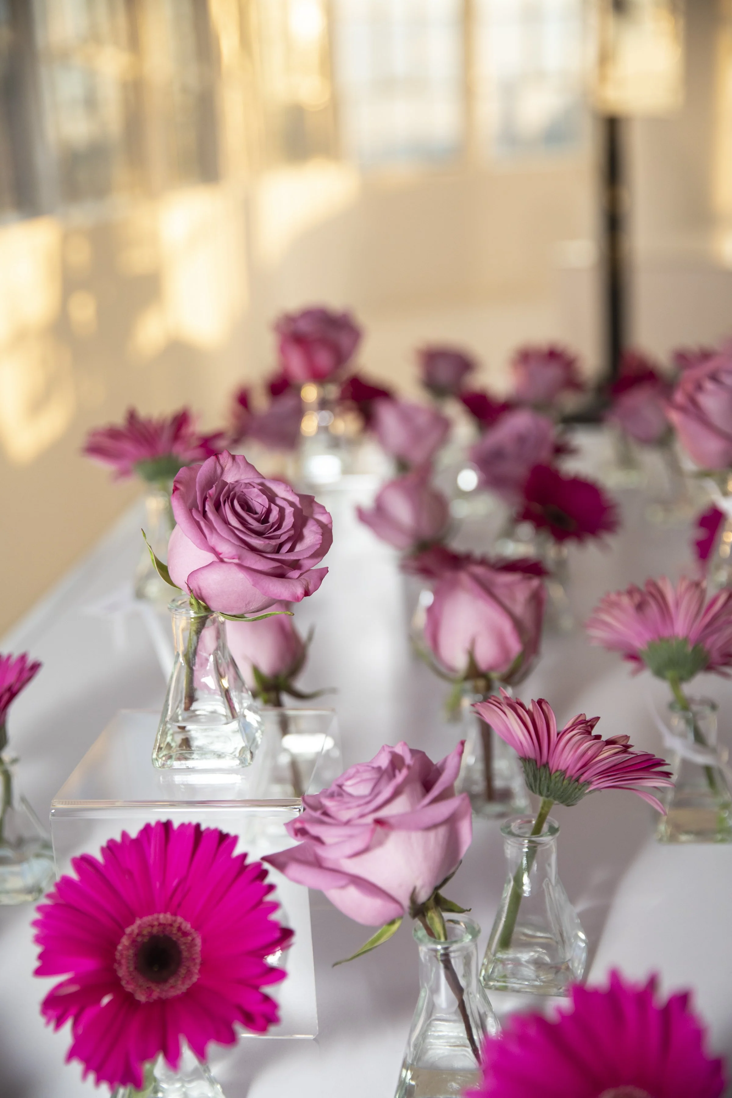 September 26 2019untitled_Profound_SnapBack_14-612.JPG