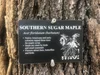 Arboretum Signs and Tree Labels | Plant ID Signs — Lark Signs