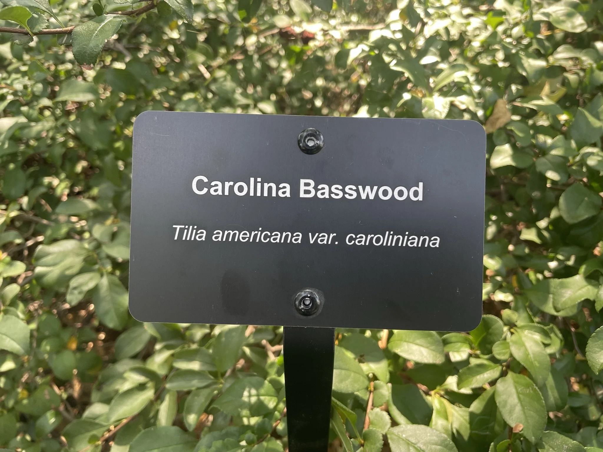 Name Plate Rivets