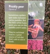 Botanical Garden Signs | Custom Plant Identification Signs — Lark Signs