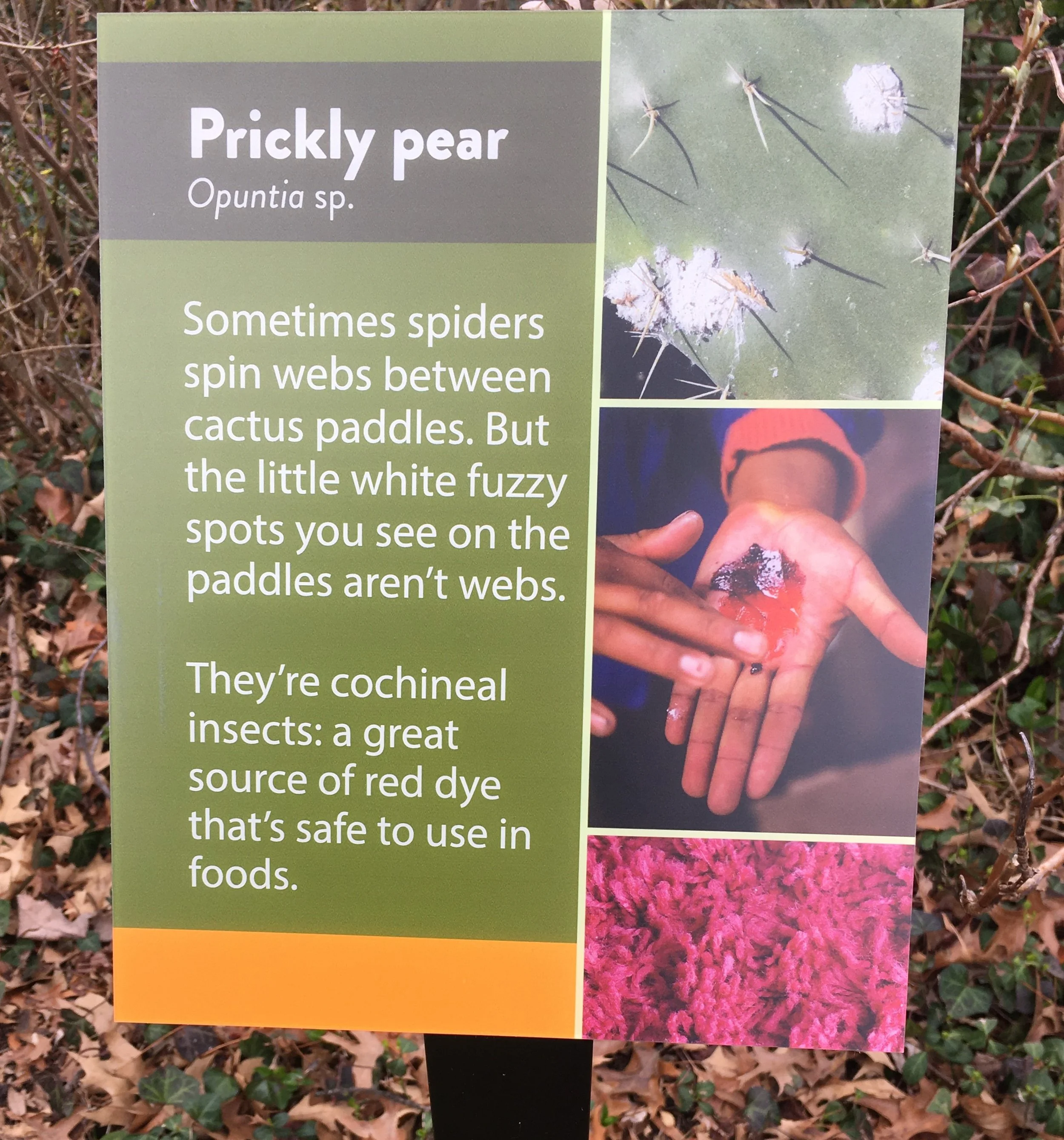 Botanical Garden Signs | Custom Plant Identification Signs — Lark Signs