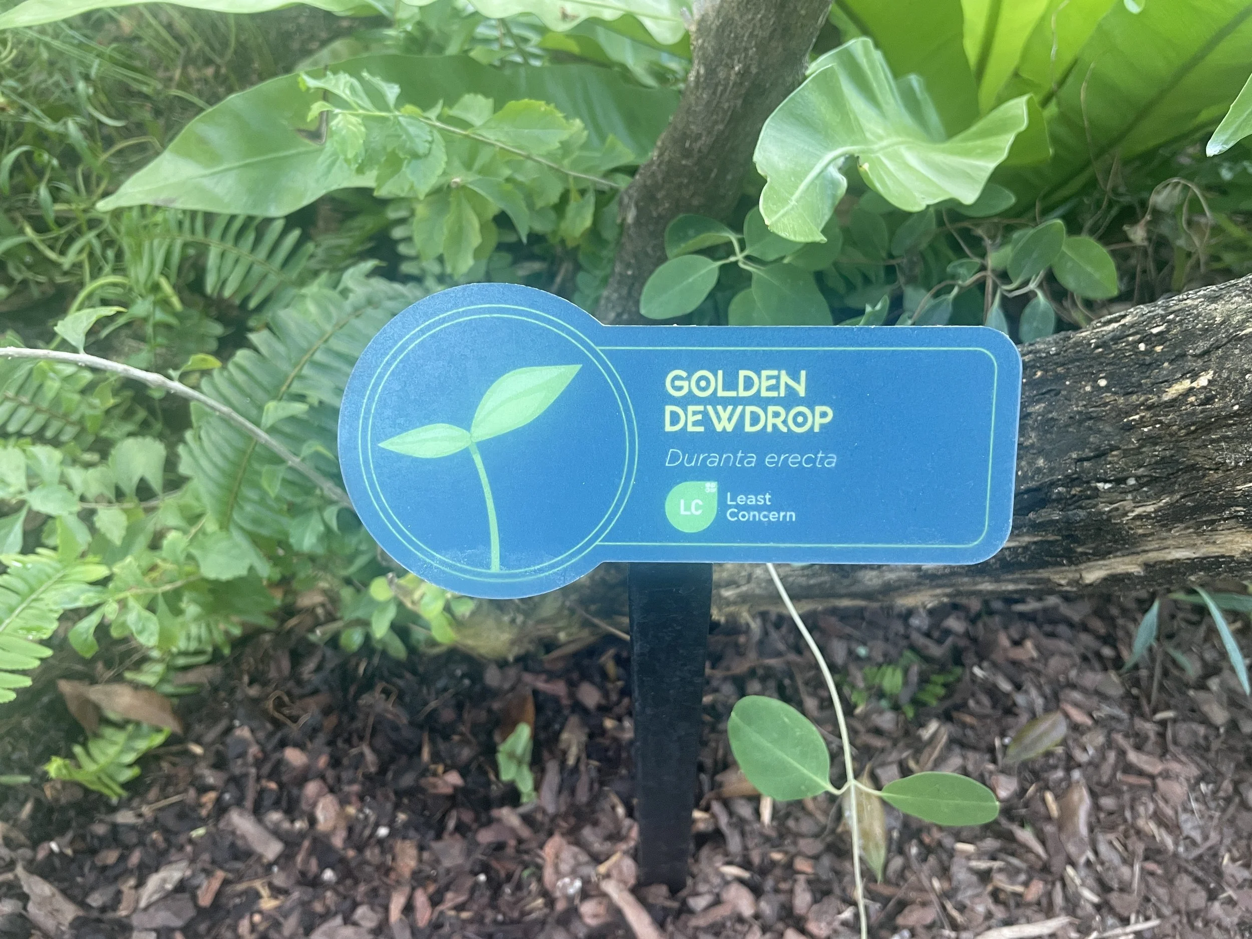 The Florida Aquarium