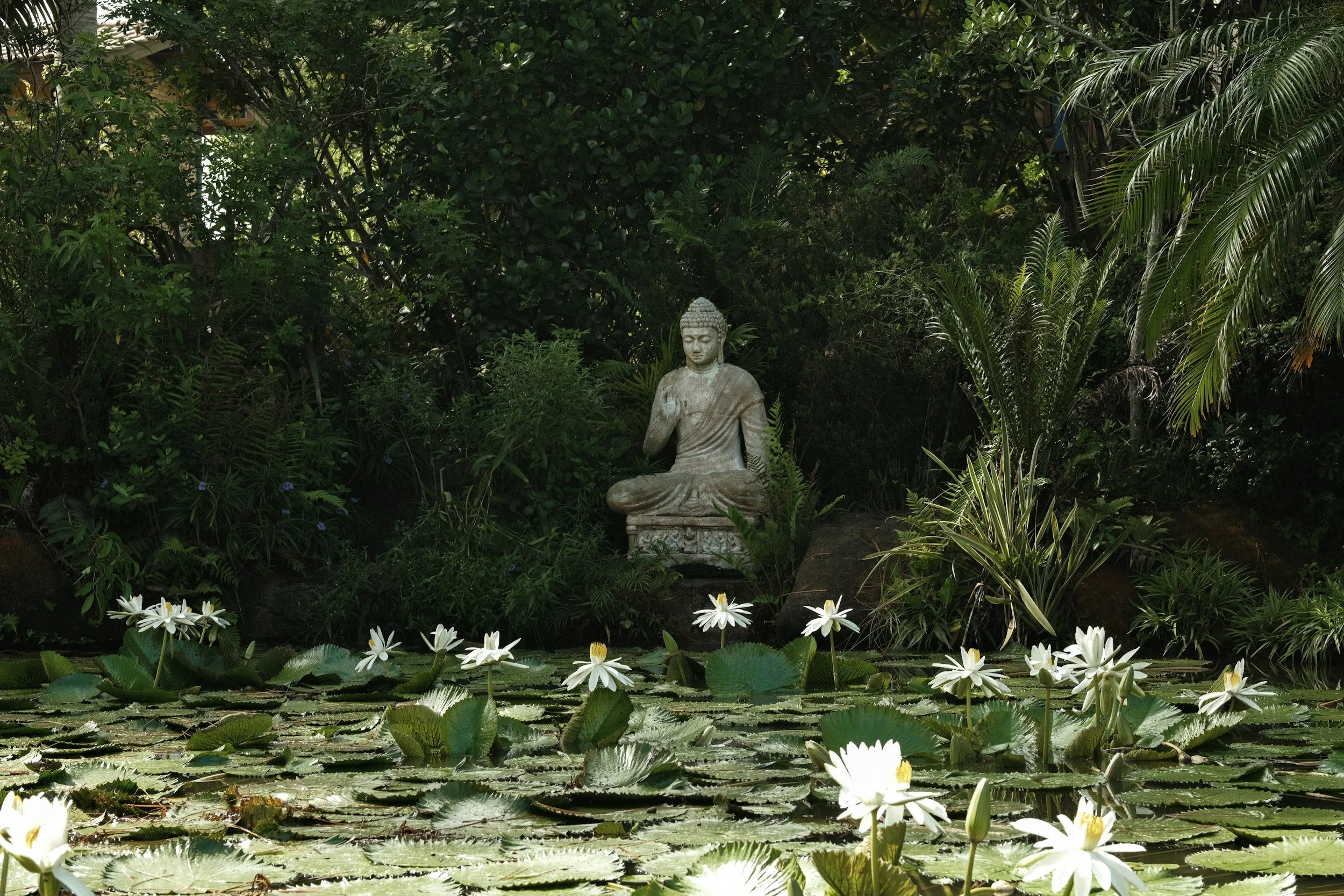 Essential Features Every Healing Garden Should Include