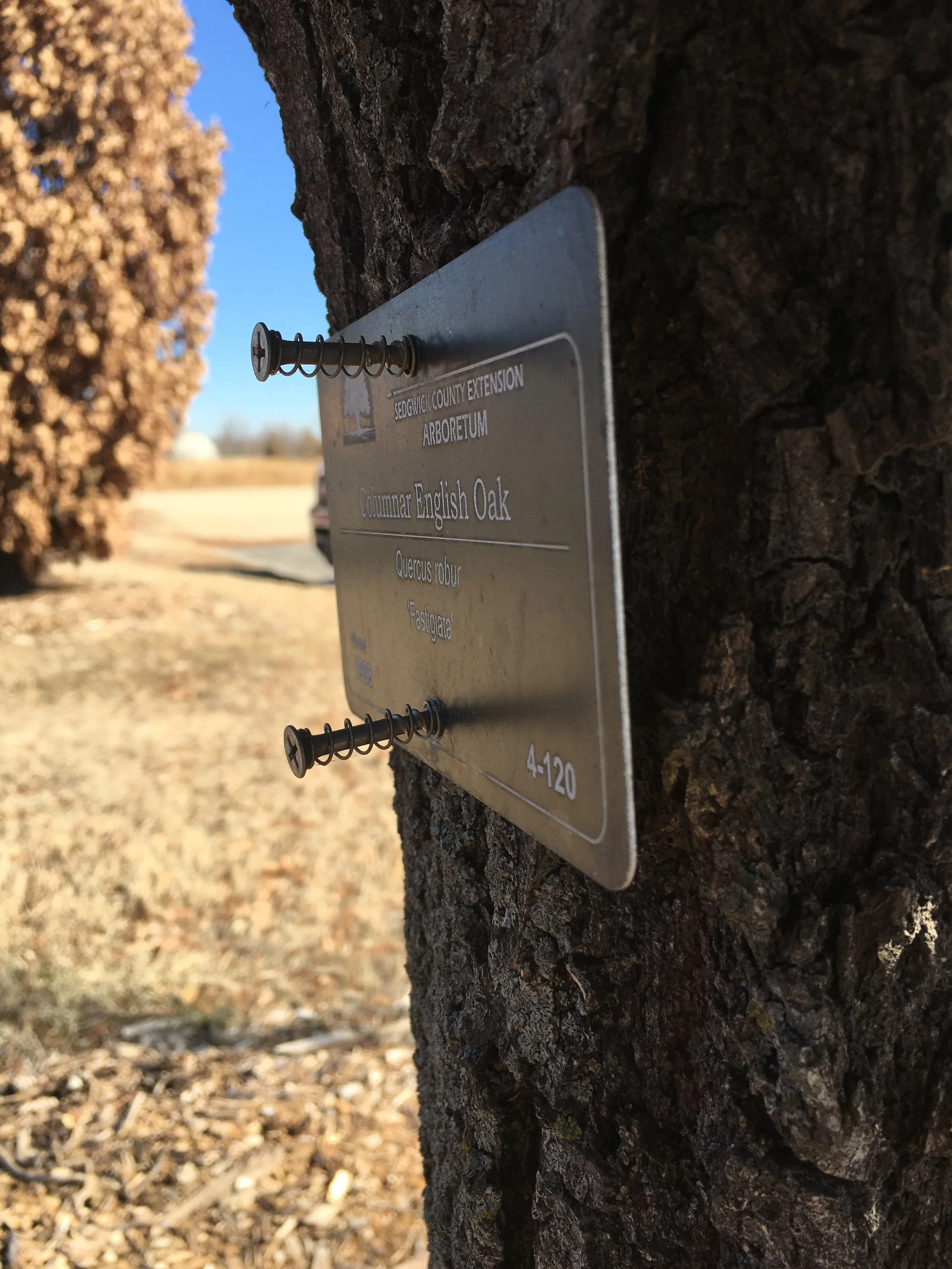 Tree & Bench Markers | Custom Outdoor Dedication Plaques — Lark Signs